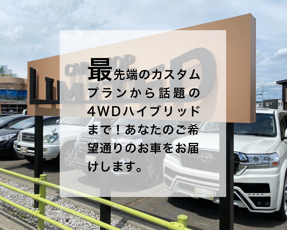 あなたの希望にカスタム